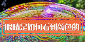 人類是如何看顏色的，影響人眼分辨顏色的因素有哪些?